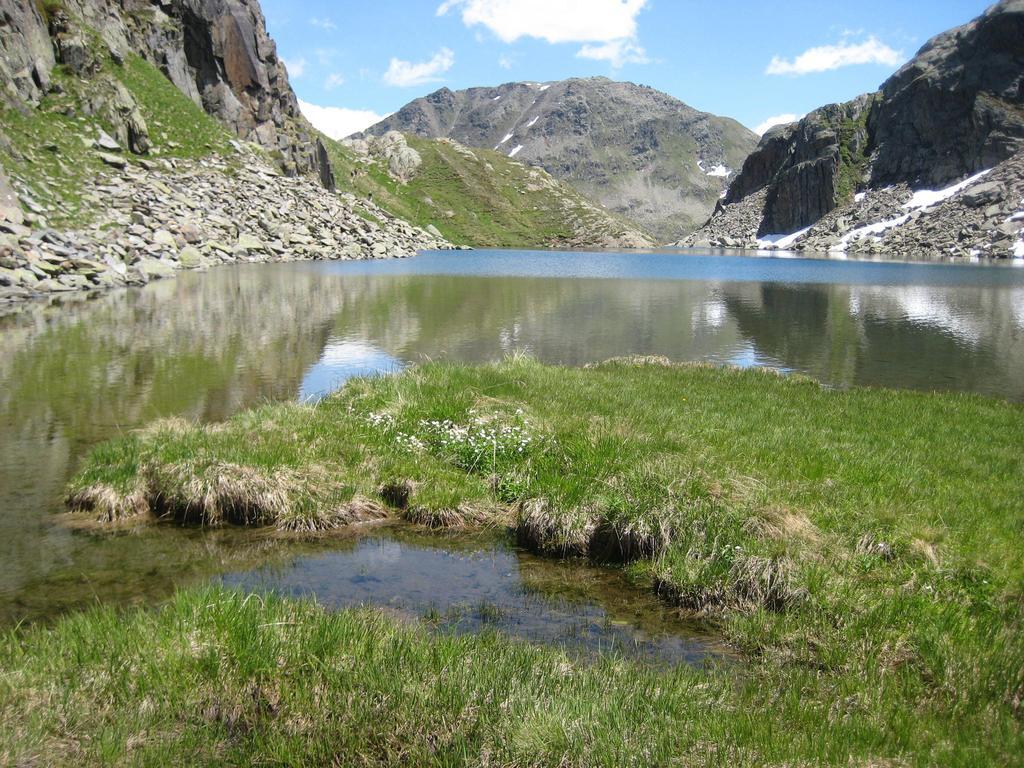Catrina Lodge Disentis Kültér fotó